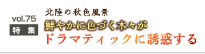 紅葉特集